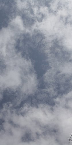 2013 Svojek Mirek Topinka